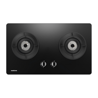迅达 JZT-2-S3 5.2KW旋流猛火 天然气 双灶具