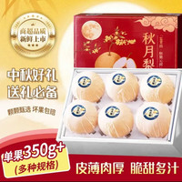 鲁禧 山东正宗冰糖秋月梨 净重5斤礼盒装（4.5斤净重）单果350+