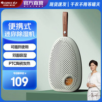 格力 衣宝家用可循环除湿盒迷你小巧便携除湿器衣柜抽屉相机微空间除湿GCSP-3001a豆蔻青