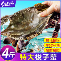 东上御品 舟山梭子蟹 5-7两/只 4斤装