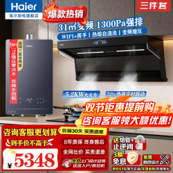 海尔 变频抽油烟机燃气灶具套装顶侧双三吸抽油烟机家用