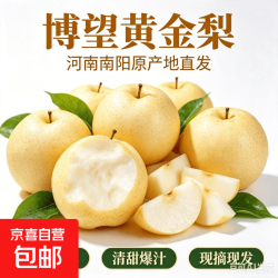 正宗博望黄金梨 带箱3斤装【单果250g+】品质大果