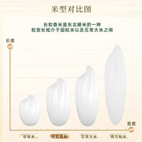 十月稻田 长粒香大米 5kg 东北大米 真空包装