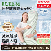 乐瓜 凉感可拆洗 加大恐龙-冰凉款 长条抱枕