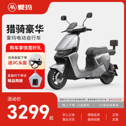 爱玛 猎骑S1 长续航 电动自行车