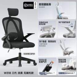 艺颂 人体工学椅子W318 弹性撵腰 | 流黑 | 三级气杆 | 无搁脚；尼龙脚；联动可躺扶手