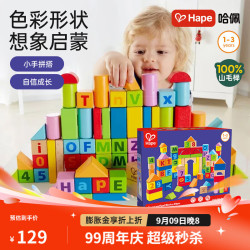 Hape E8022 80粒益智积木