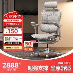 Ergonor 金豪E 2代 人体工学电脑椅 银白色 Q4.0版