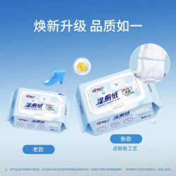 心相印 无刺激湿厕纸 可冲散加厚抽取式 杀菌 带盖纯水 12包