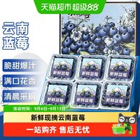 88VIP：寻天果蔬 云南蓝莓高山鲜果应季新鲜大果蓝莓孕妇水果