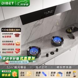 Dibet 迪钡特油烟机隐形烟机32m³欧式顶吸抽油烟机F2D隐藏式不锈钢油烟机家用超薄