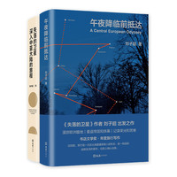 失落的卫星+午夜降临前抵达 作家 小说 写作 传统 年代