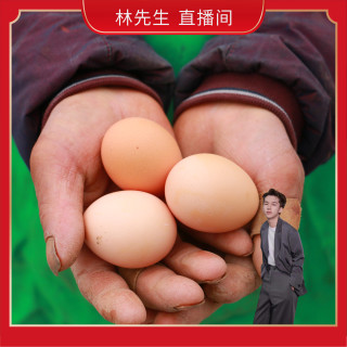 爱苜 3斤以上粉壳土鸡蛋 30枚装 散养鸡蛋农产品新鲜绿色