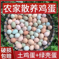 土鸡蛋乌鸡蛋混合装正宗农家散养土鸡蛋新鲜乌鸡蛋产地