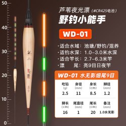 佳钓尼 夜光漂日夜两用电子鱼漂醒目无水影高灵敏钓鱼浮漂