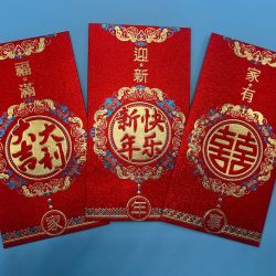 2024新款中国风红包硬壳磨砂烫金立体高档送长辈婚礼压岁包