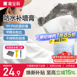 嘉宝莉 防水补墙膏墙面修补膏乳胶漆墙面去污修复墙皮脱落抗菌防霉腻子粉 1kg耐水抗菌补墙膏