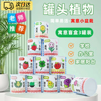 宜品达 植物盲盒 儿童种植小盆栽罐头植物种子 寓意小盆栽（寓意盲盒3罐装）