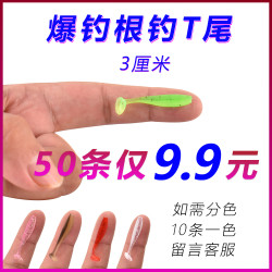 20条浮水t尾鱼路亚软饵淡水T尾软虫铅头钩钓小鱼鲈鱼鳜鱼倒钓假饵