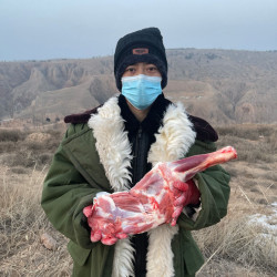 碱滩羊 羊腿生鲜4斤草原新鲜羊肉现杀现卖小腿正宗羊腿