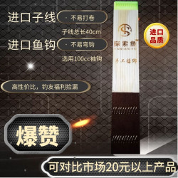 探索鱼饵进口鱼钩绑好袖钩伊势尼精品子线双钩套装成品一盒10付
