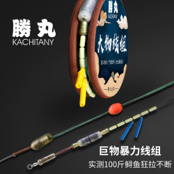 胜丸绑好大物线组套装全套主线组成品强拉力巨物鱼线正品青鱼鲢鳙