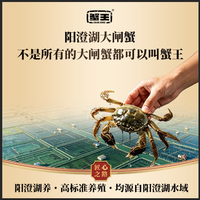 蟹王阳澄湖大闸蟹礼品卡蟹卡送全套品蟹工具高端礼盒装