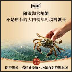 蟹王阳澄湖大闸蟹礼品卡蟹卡送全套品蟹工具高端礼盒装