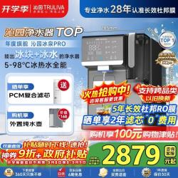 沁园 制冰块净水器冰泉PRO反渗透台上式净饮机速冷即
