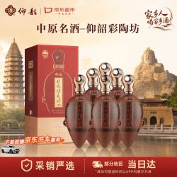 仰韶 彩陶坊 天时星星 53度 陶融型白酒 520ml*6瓶