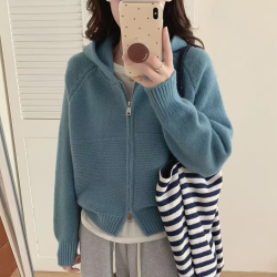 韩系休闲波浪纹双拉链连帽毛衣外套早春新款宽松显瘦加厚针织开衫