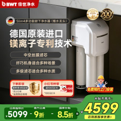 BWT 新品德国进口家用净水器厨房台下式厨下全屋净水器接自来水直饮机专利镁离子矿物质
