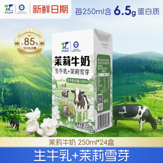 天太乳业 天太 茉莉雪芽牛奶250ml*24盒