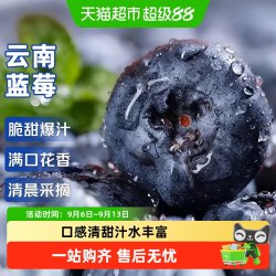 寻天果蔬 云南蓝莓高山鲜果应季新鲜大果蓝莓孕妇