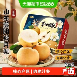 好鲜市集 山东秋月梨羊脂梨子冰糖礼盒特大果新鲜水果