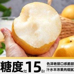 京运达 正宗山东秋月梨子现摘应当季新鲜水果中秋礼盒整箱非莱阳