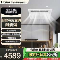 海尔 家用厨房专用空调大1.5匹全直流变频一拖一速冷耐油烟包一级能效厨房专用空调