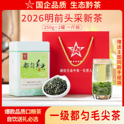贵天下 特级都匀毛尖绿茶500g