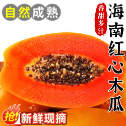 探味君 红心牛奶木瓜新鲜木瓜水果当季树上自然熟冰糖心青皮木瓜现摘整箱