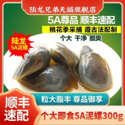 陆龙兄弟 宁波特产黄泥螺陆龙兄弟5A醉泥螺即食罐装野生个大无沙300g