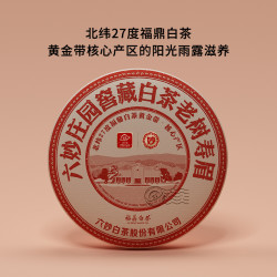 六妙 白茶 庄园窖藏老树寿眉2019年福鼎白茶紧压老茶饼 300g*1饼