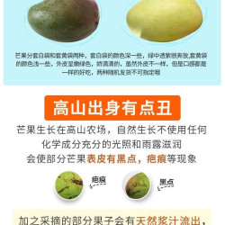 攀枝花凯特芒果新鲜甜心芒当季孕妇水果现摘青皮芒特大果整箱包邮