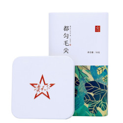 贵天下 明前都匀毛尖特级50g