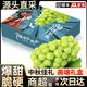 元珍鲜诚 阳光玫瑰葡萄5斤