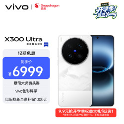 vivo X300 Ultra 5G手机 12GB+256GB 银调