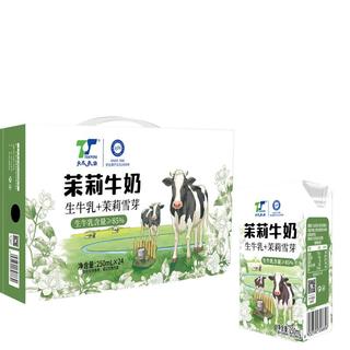 天太乳业 茉莉雪芽牛奶 6.0g蛋白质 250ml*24盒