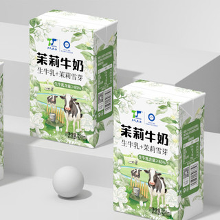 天太乳业 茉莉雪芽牛奶 6.0g蛋白质 250ml*24盒