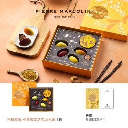 PIERRE MARCOLINI 比利时坚果巧克力月饼形礼盒 中秋礼盒