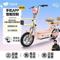 百亿补贴：五星钻豹 A45 新国标电动自行车 48V22Ah