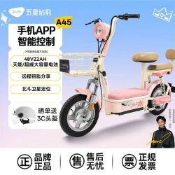 五星钻豹 A45 新国标电动自行车 48V22Ah